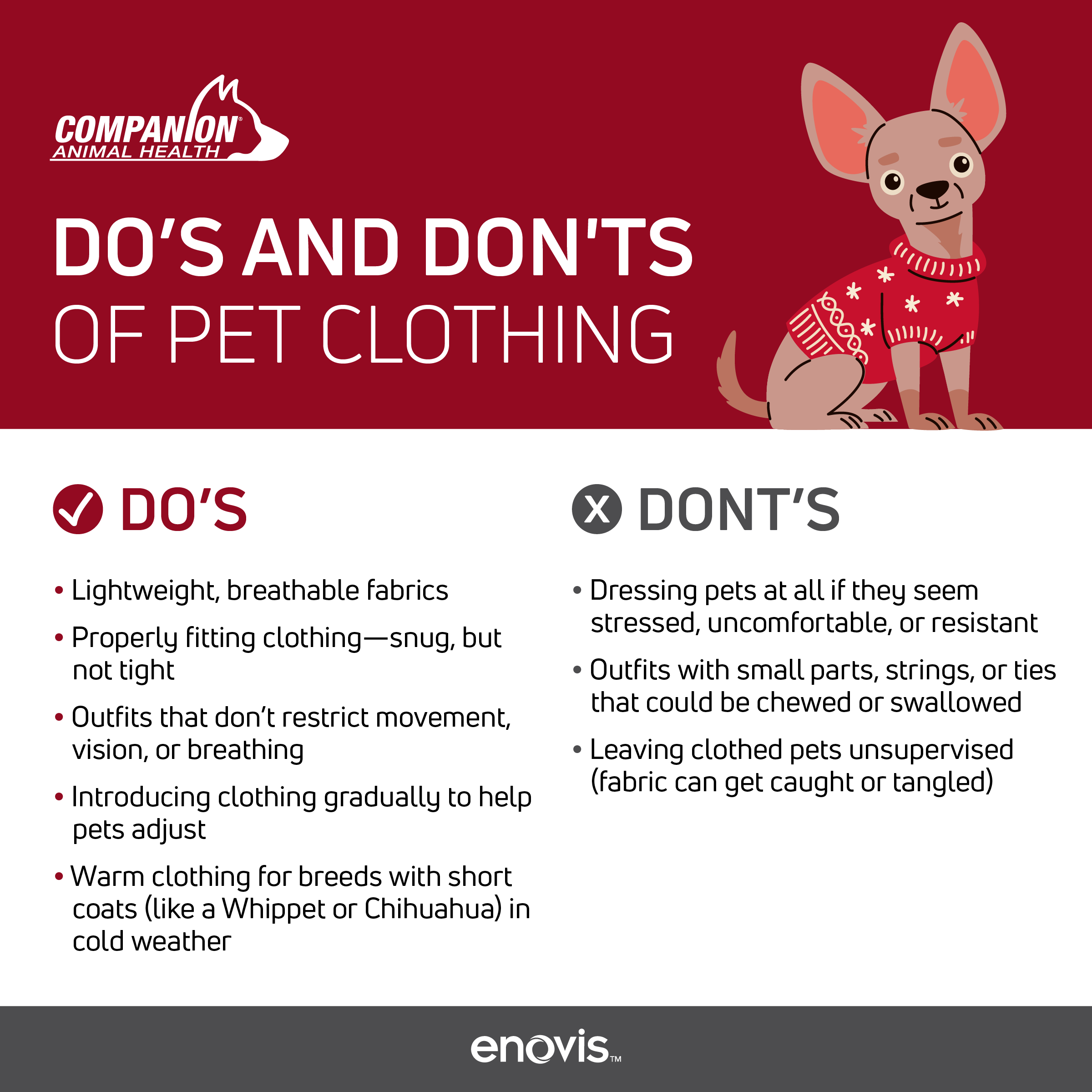 Stunning Satin Fabric Health Risks For Canine image